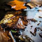 Fine Art Photography, Nature, Art, Abstract