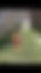 sahiplendirme için kedi ilanlari gösteren ikinci küçük fotoğraf