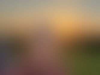 Marketing on a Budget: Five Tactics for Small Businesses and Charities