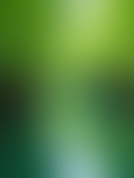 Exploring the Ecological Wonders of Costa Rica's Diverse Regions