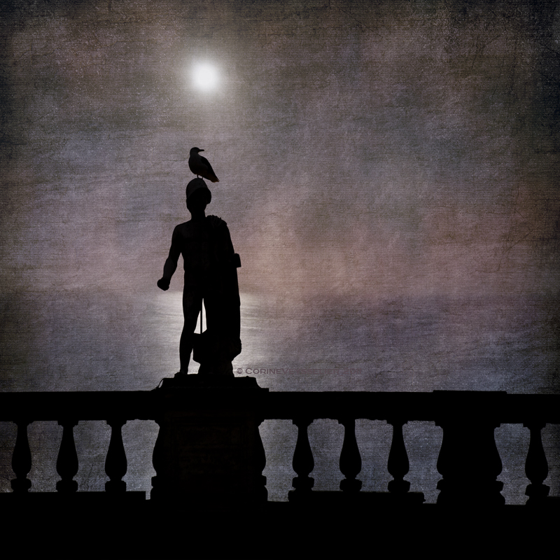 Jonathan Livingston Seagull