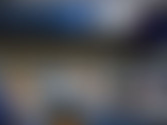 Ivana Bastos destaca protagonismo da Bahia em audiência sobre novo marco regulatório dos portos