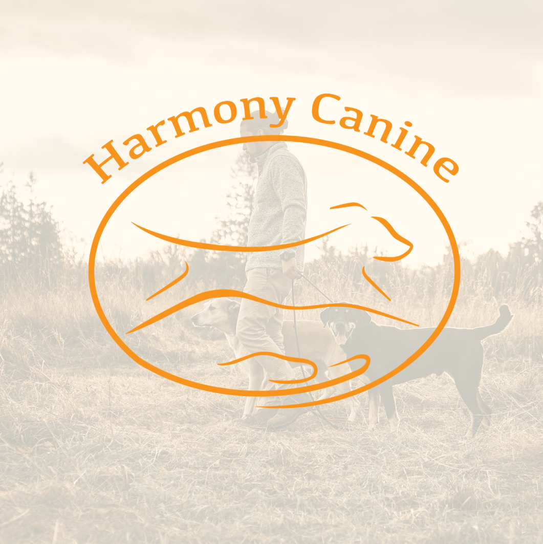 Harmony Canine project example