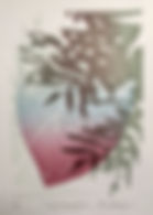 fullsizeoutput_160c.jpeg
