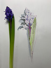 IMG_2138.jpeg