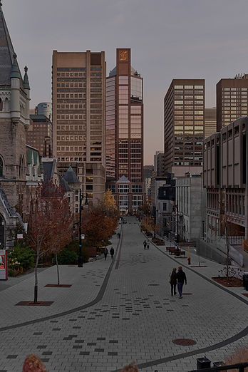 McTavish_Street_viewed_facing_south_from_Doctor_Penfield_Avenue,_Oct_29_2022_edited.jpg