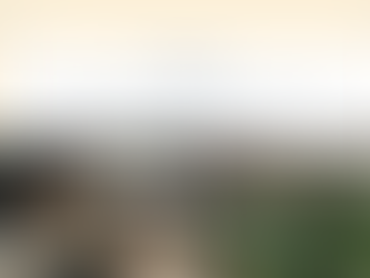 7 เคล็ดลับให้บ้านฮุกกะได้ แม้อยู่เมืองร้อน