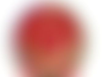 Qərbi Azərbaycan Dövlətinin gerbi təsdiqləndi