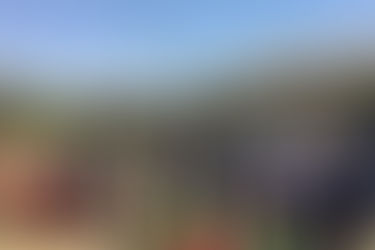 Deputatlar Masallıda şəhid mayorun məzarını ziyarət edib