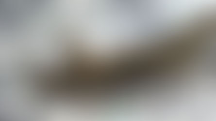 Banklarda kifayət qədər valyuta var