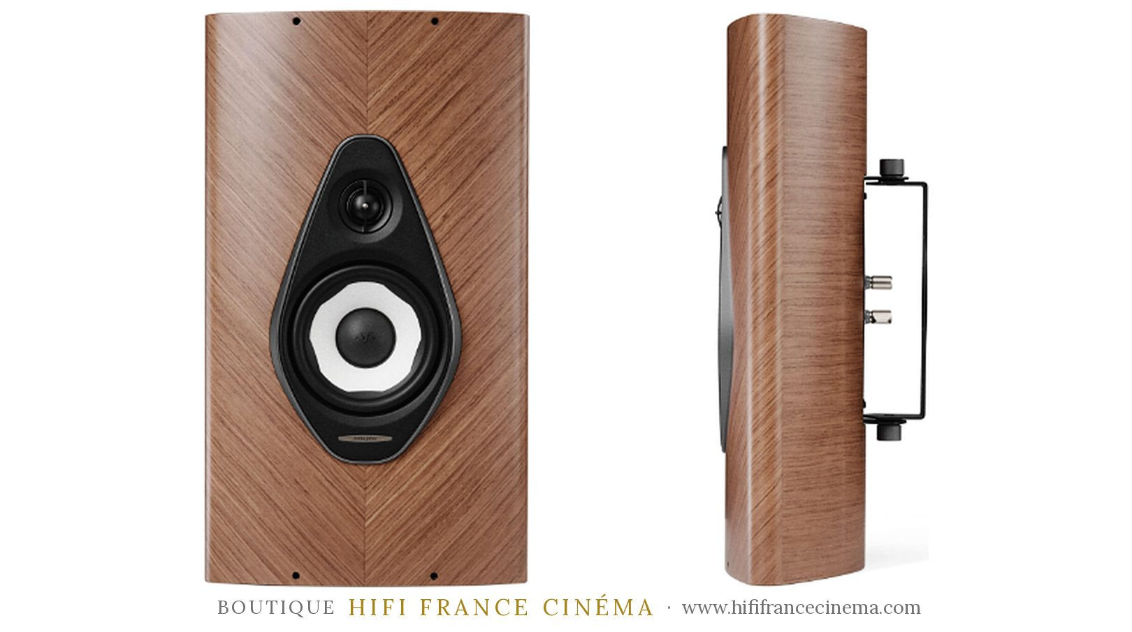 Sonus faber Olympica G3 W, enceinte murale finition noyer, vue de face et de profil