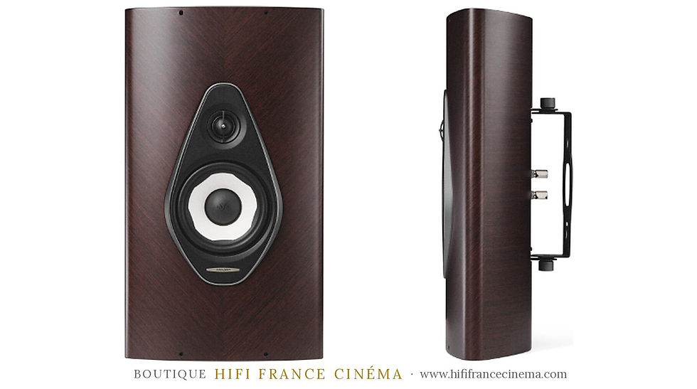 Sonus faber Olympica G3 W, enceinte murale finition wengé, vue de face et de profil