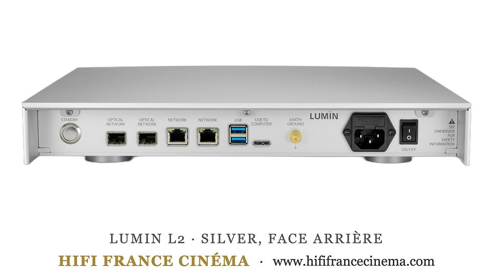 LUMIN L2 serveur musical, face arrière ports réseau et SFP