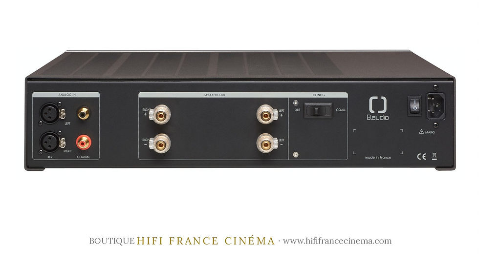Connectique arrière de l'amplificateur B.audio B.amp one gamme ONE - HIFI France Cinéma
