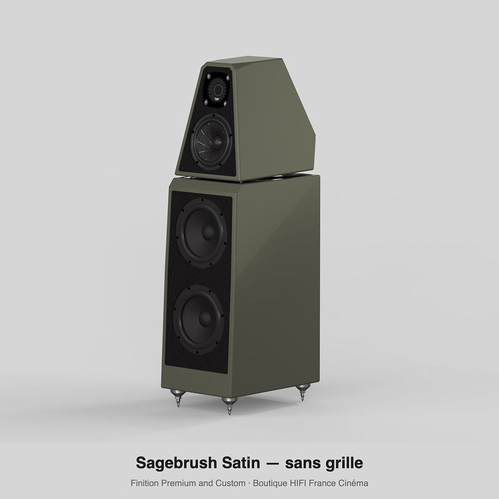 Wilson Audio The WATT/Puppy finition Sagebrush Satin (Premium and Custom) — HIFI France Cinéma