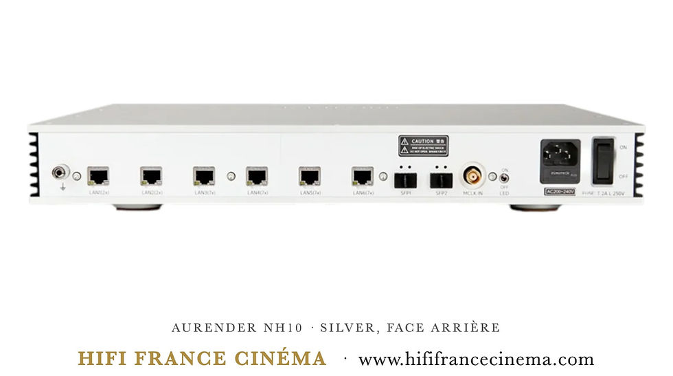 Aurender NH10 switch réseau, face arrière Silver