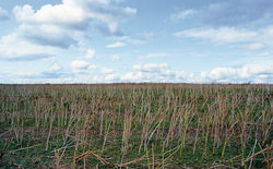veronique-l-hoste-entre-ciel-et-terre-16