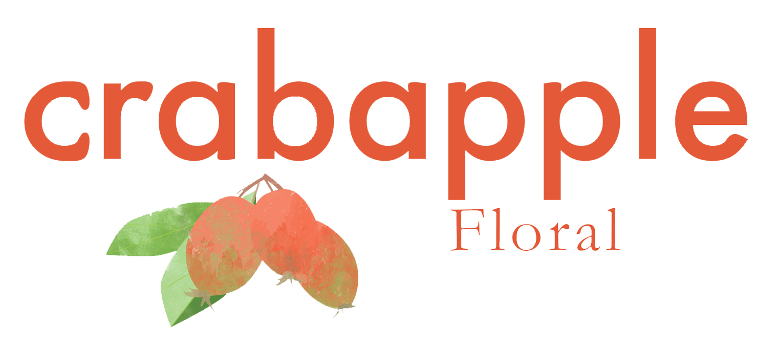 no_background_forweb.gif