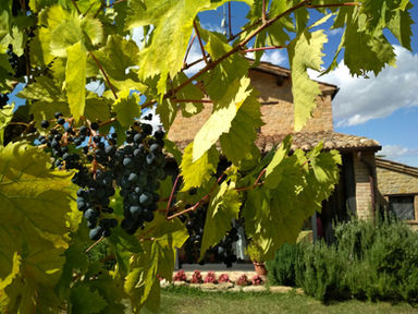 Ristorante cibo biologico Agriturismo Marche Macerata Italia
