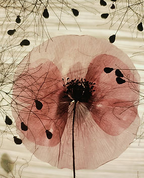 Composition de fleurs séchées réalisées à la main, aux tons doux et organiques. 手工製作的乾燥花作品,色調柔和自然,呈現植物的原始韻味。