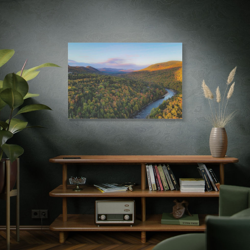 Miniature : 
Toile mate, tendue, 1.25"