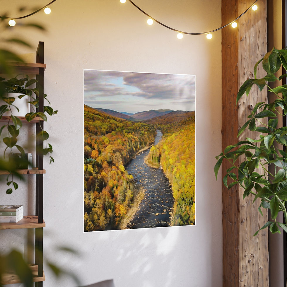 Photo Art Paper Posters