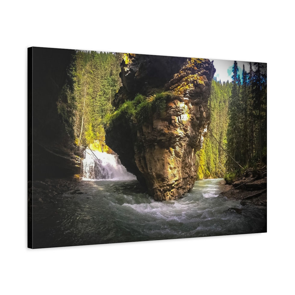 Miniature : 
Toile mate, tendue, 1.25"