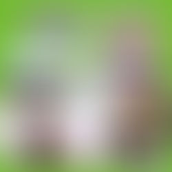 TV아사히방송「키요시와 쿠로다의 오늘도 헤이-호-」에 유메야카타 BENIKO선생님 출연!