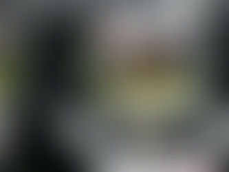 Button to retire from full time racing at end of season, an F1 great