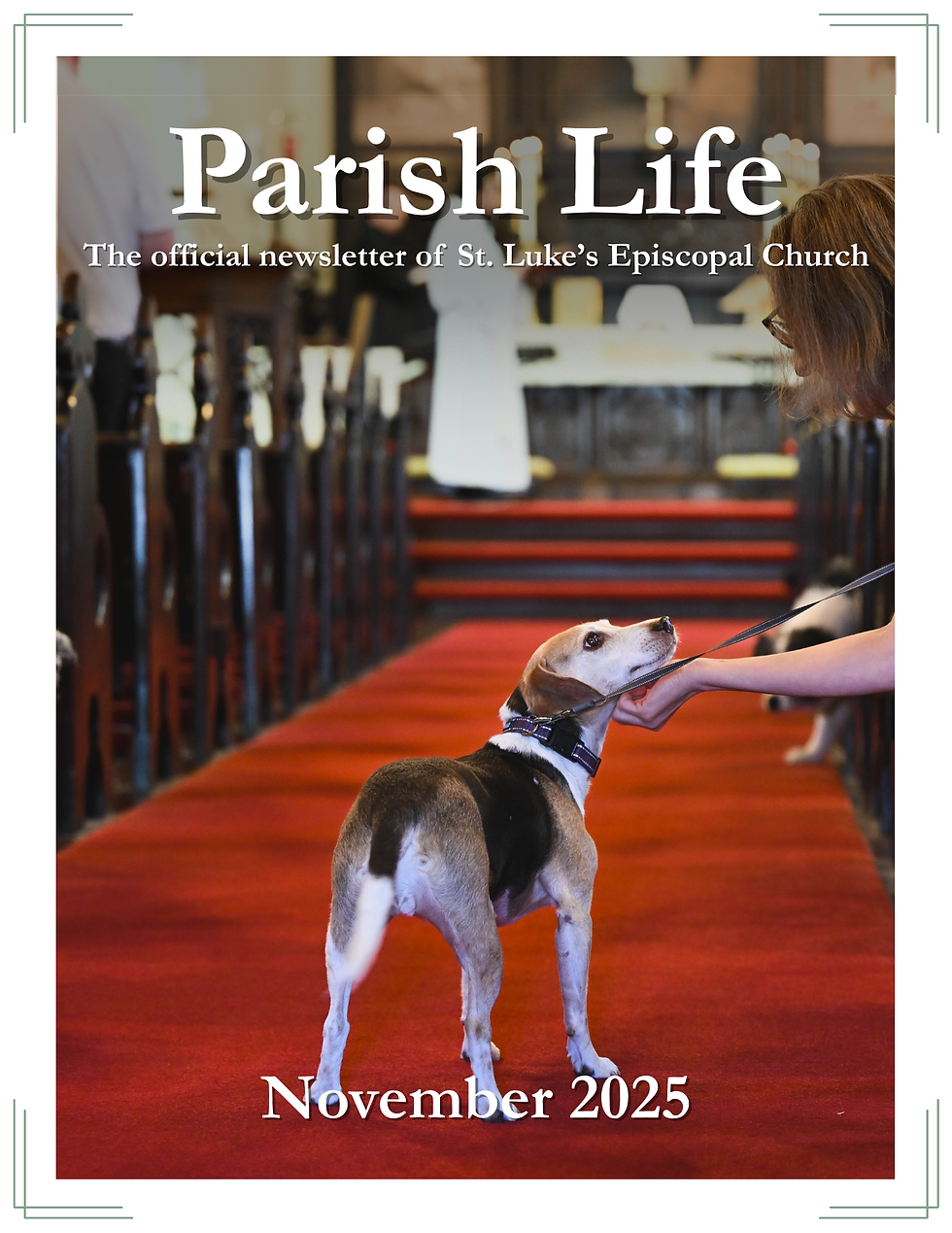 Parish Life | November 2025