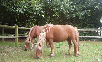 P8220147.JPG
