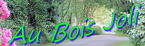 Logo_8 bois joli.jpg