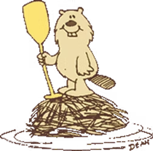footer image.png