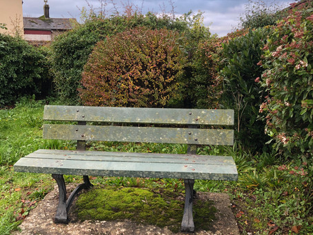 Just 6 Weeks Less-Abled : S + 21 | A bench that is so much more than just bench.