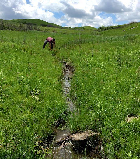 A man washing his hands in a stream