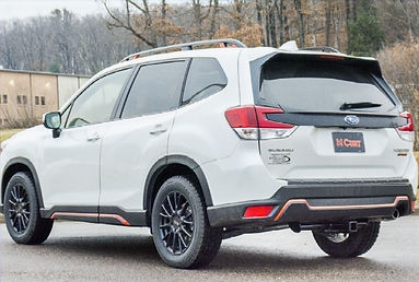 Exposed Forester_edited.jpg