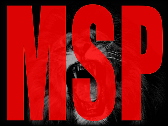 MSP Wallpaper