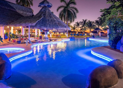 Wildlife Bahia 1.png