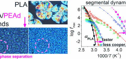 Check out our new paper on thermal analysis and molecular mobility of PEAd/PLA blends