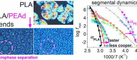 Check out our new paper on thermal analysis and molecular mobility of PEAd/PLA blends
