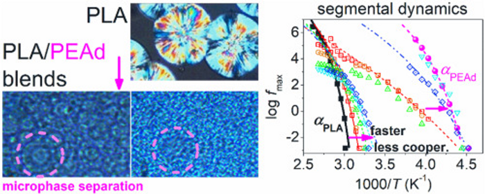 Check out our new paper on thermal analysis and molecular mobility of ...