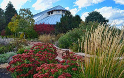 The Arboretum at Flagstaff