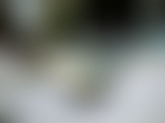 Procurement Cost Reduction