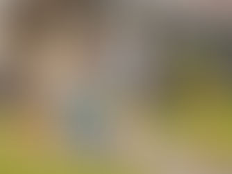 family with their custom home