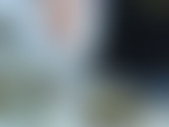 where to buy cannabis in Warren