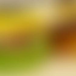 Our Take on THC Edibles and Bedtime Routines in Saint Clair Shores