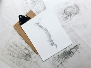 Endoscopic Spine Surgery