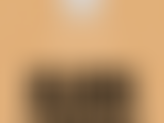 Dicas para Comprar na Black Friday