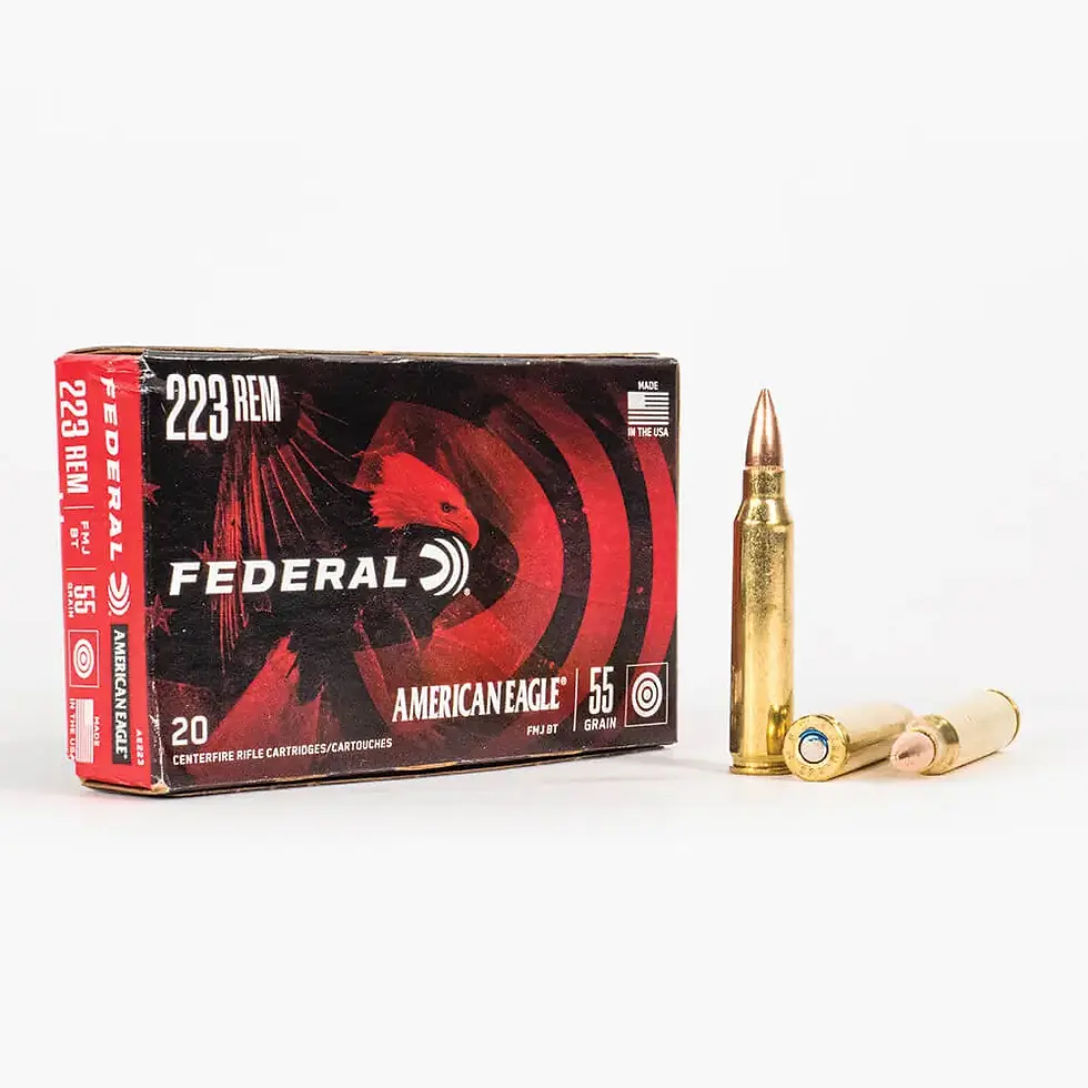 .223 Federal American Eagle, 55 grain