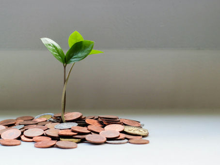 Pianta che cresce su monete: simbolo di crescita finanziata da Smart&Start Italia